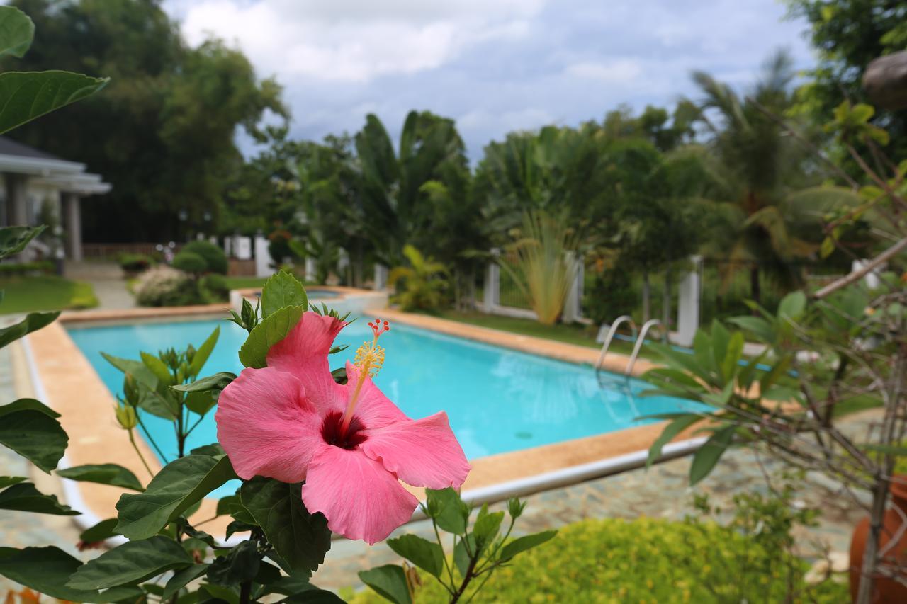 Garden Bungalows Resort Siquijor Extérieur photo